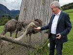 LH-Stv. Anton Lang gratulierte per Videobotschaft zum Abschluss des Tierschutz-Lehrgangs © Land Steiermark LH-Stv. Anton Lang gratulierte per Videobotschaft zum Abschluss des Tierschutz-Lehrgangs