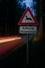 Mit dem Projekt Wildtierschutz & Verkehrssicherheit Steiermark” soll die Verkehrssicherheit auf den Straßen erheblich gesteigert werden. © Land Steiermark; bei Quellenangabe honorarfrei Mit dem Projekt Wildtierschutz & Verkehrssicherheit Steiermark” soll die Verkehrssicherheit auf den Straßen erheblich gesteigert werden.