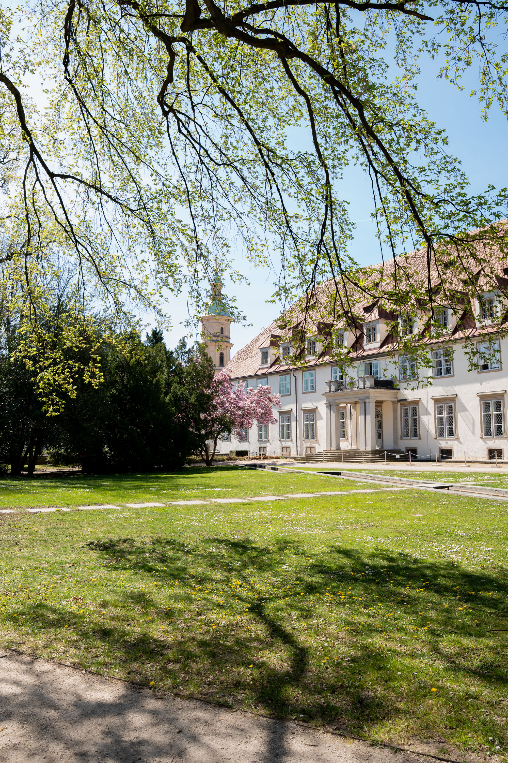 Der Burggarten gleicht im Frühling einem echten Blütenreich.
