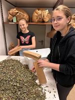 Zwei junge Menschen sortieren Blüten in einem Lagerraum. Fokus auf gemeinschaftlichem Engagement.