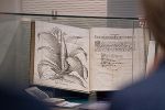 Historisches Buch mit Pflanzenbild