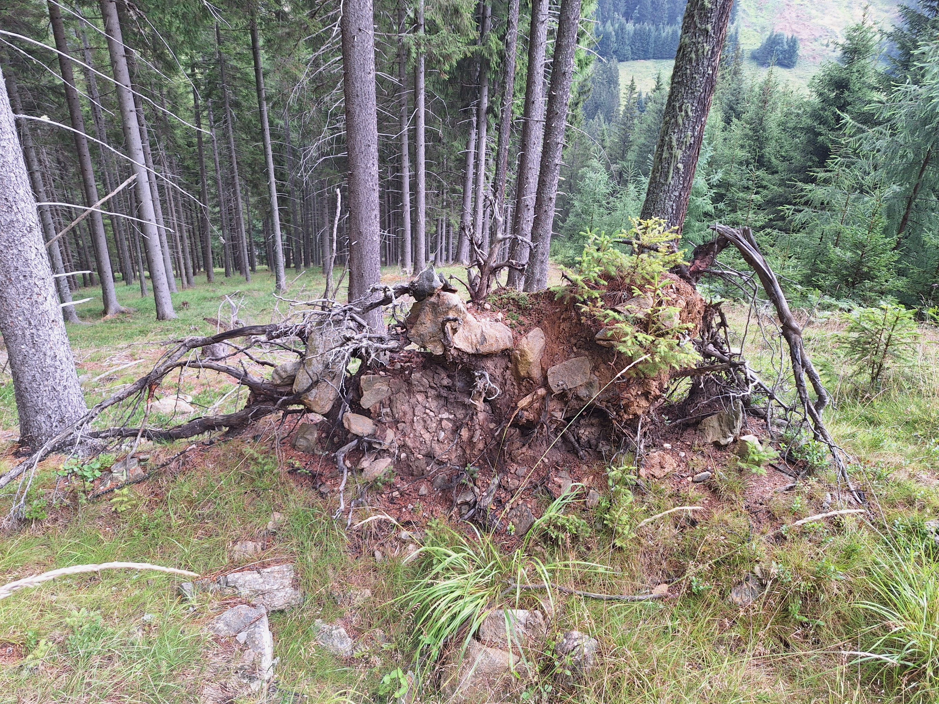 Unterschiedliche Einsätze fordern die Landesgeologen