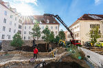 Der neue Burgwald im baulich geöffneten Hof zwischen Schauspielhaus und Grazer Burg entsteht. © Land Steiermark/Robert Binder; Verwendung bei Quellenangabe honorarfrei