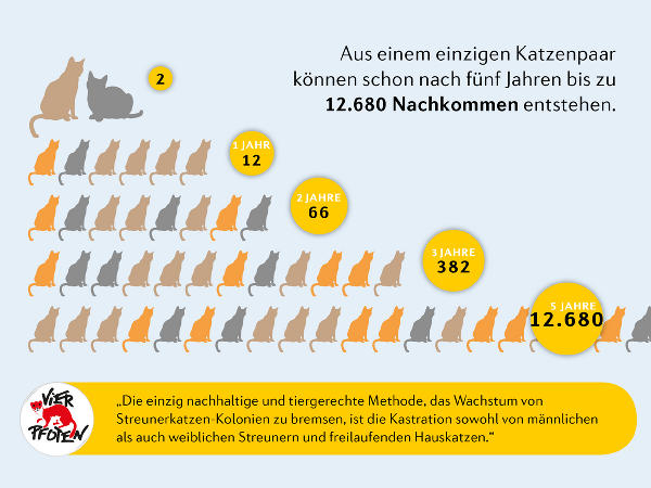 Katzen vermehren sich unglaublich schnell © Foto: "Vier Pfoten Österreich"; bei Quellenangabe honorarfrei