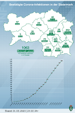 Bestätigte Corona-Infizierte in den steirischen Bezirken; Stand: 31. März 2020, 21 Uhr
