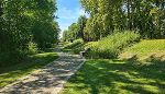 Attraktiviertes Umfeld der Mur im Stadtpark von Bad Radkersburg.