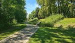 Attraktiviertes Umfeld der Mur im Stadtpark von Bad Radkersburg.