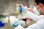 Derzeit werden täglich etwa 15.000 PCR-Gurgeltests im neuen Labor in Graz ausgewertet. 