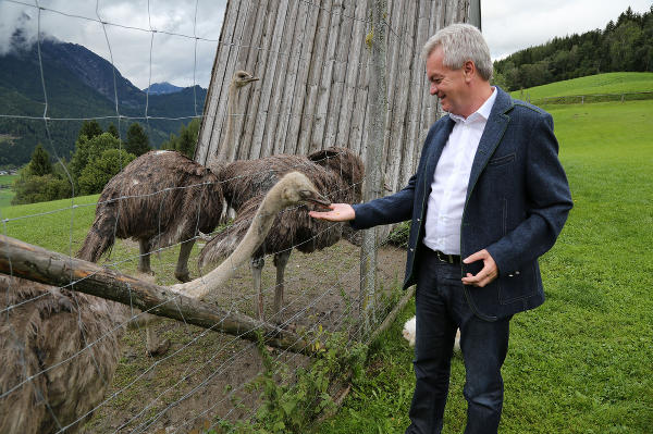 Landeshauptmann-Stellvertreter Anton Lang begrüßt die von der Landesregierung gefassten Beschlüsse zum Ausbau des Wildtierschutzes in der Steiermark. © Land Steiermark; bei Quellenangabe honorarfrei