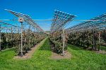 Die in den nächsten Wochen errichtete PV-Anlage hat 1.134 PV-Module und es werden 2.775 Quadratmeter Fläche überdacht. © Foto: EccoWind/Haidegg; bei Quellenangabe honorarfrei Die in den nächsten Wochen errichtete PV-Anlage hat 1.134 PV-Module und es werden 2.775 Quadratmeter Fläche überdacht.