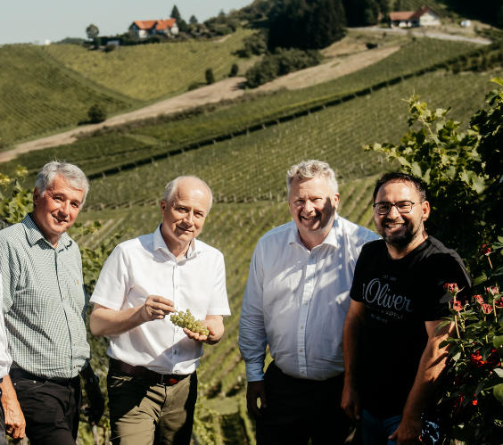 Weinbaudirektor Werner Luttenberger, Landesrat Hans Seitinger, Österreich Wein-Geschäftsführer Chris Yorke und Weinbaupräsident Stefan Potzinger (v.l.) © Lebensressort/Lorber