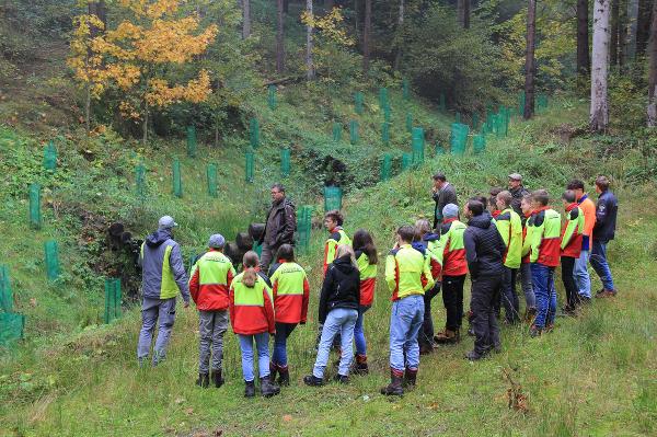 Die Herausforderungen der Schutzwaldpflege und der Schutzwaldbewirtschaftung standen im Mittelpunkt der Projektwoche. © Land Steiermark; bei Quellenangabe honorarfrei