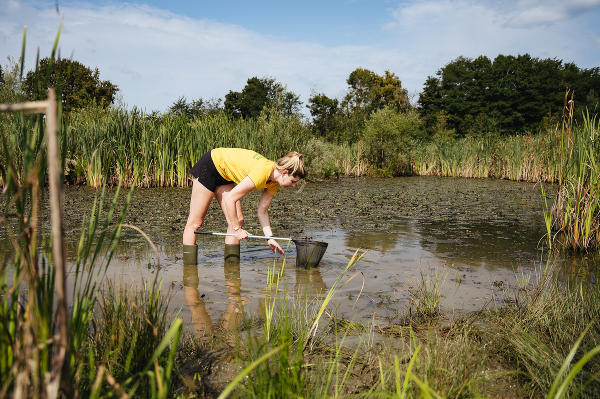 Ob auf der Suche nach besonderen Tieren und Pflanzen, die naturnahe Gestaltung des Gartens oder anderes: Zeig uns, wie naturverbunden du bist – mit dem Hashtag #naturverbundensteiermark © Thomas Sattler; Verwendung des Fotos im Zusammenhang mit „Naturverbunden Steiermark“ honorarfrei