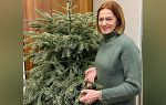 Richtige Entsorgung von Christbäumen: Umweltfreundlich und nachhaltig © Land Steiermark/Lebensressort