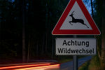In der Brunftzeit wird das Wild wild © Land Steiermark